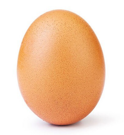 Un œuf